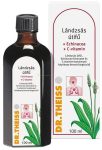 Dr Theiss Lándzsás útifű Echinacea + C vitamin 100 ml